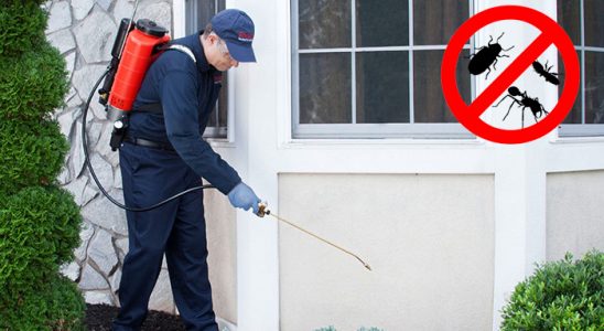 Villakent Sivrisinek İlaçlama böcek ilaçlama ve haşere kontrolü — ilaclama-tr.com